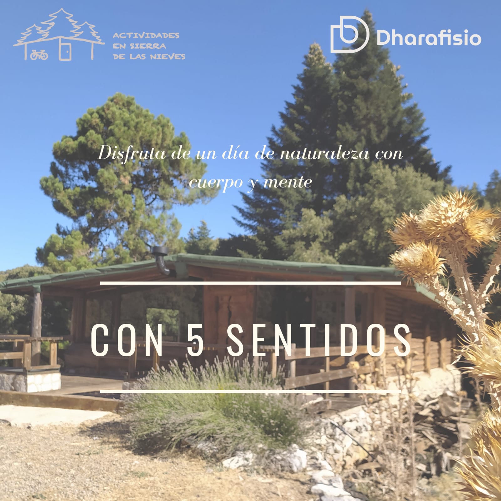 Actividad mindfulness