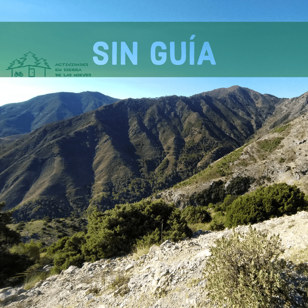 Sin Guia