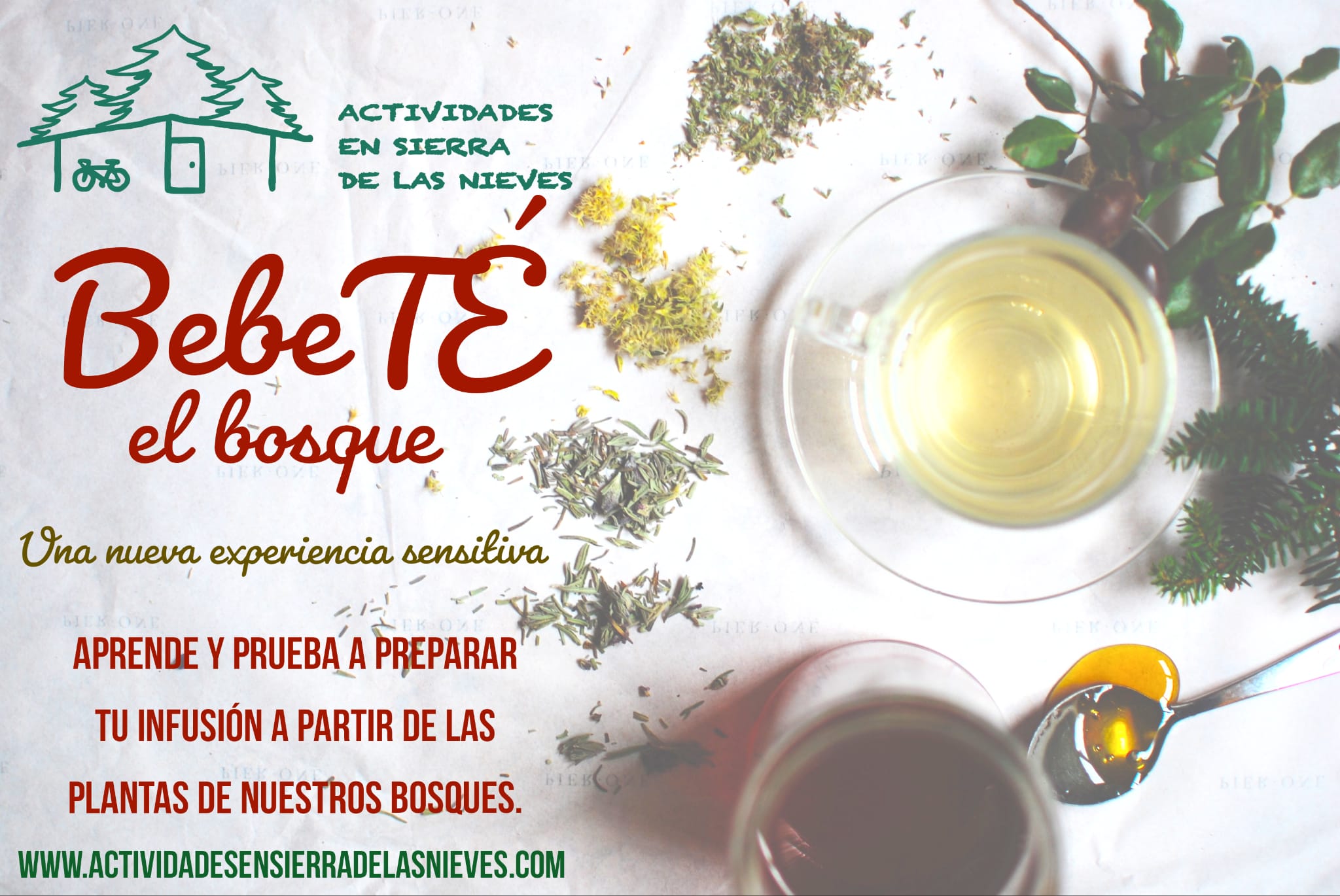 Ruta de infusiones