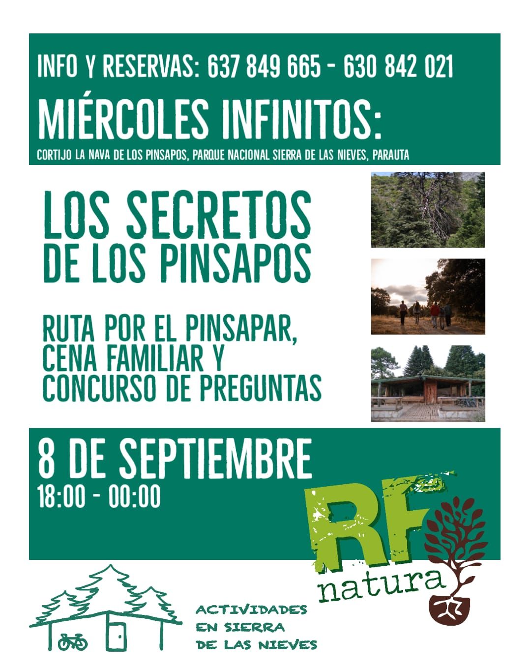 Los secretos de los pinsapos