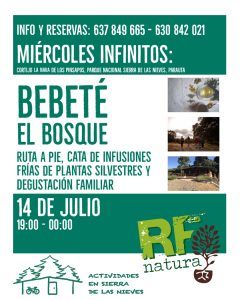 BebeTÉ el bosque - Miércoles Infinitos @ Cortijo Las Navas de los Pinsapos