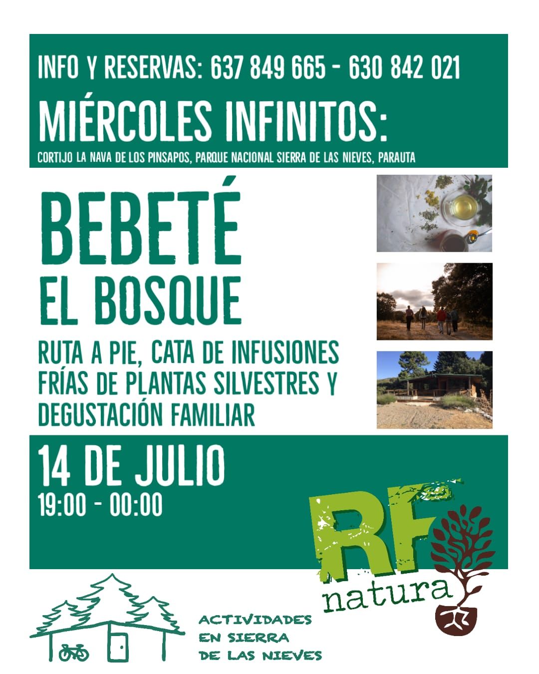 BebeTé el bosque
