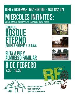 Conoce el Bosque Eterno - Miércoles Infinitos @ Cortijo Las Navas de los Pinsapos
