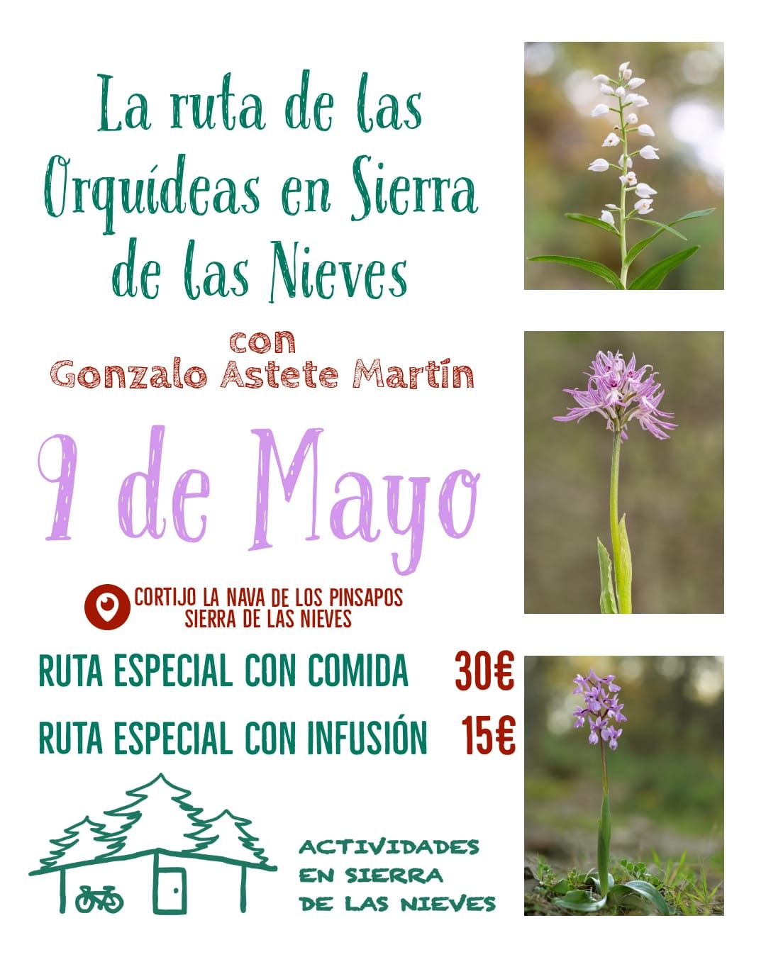 Avistamiento de Orquídeas