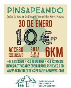 Pinsapeando @ Puerto Robledal